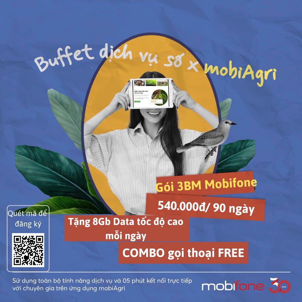 Gói 3BM Mobifone 540k tặng 720Gb Data (8Gb/ngày), COMBO gọi thoại Free
