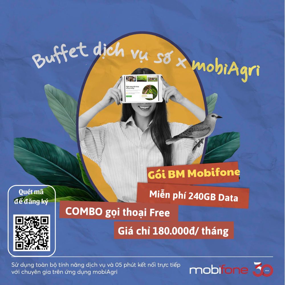 Gói BM Mobifone 180k tặng 240Gb Data (8Gb/ngày), COMBO gọi thoại Free
